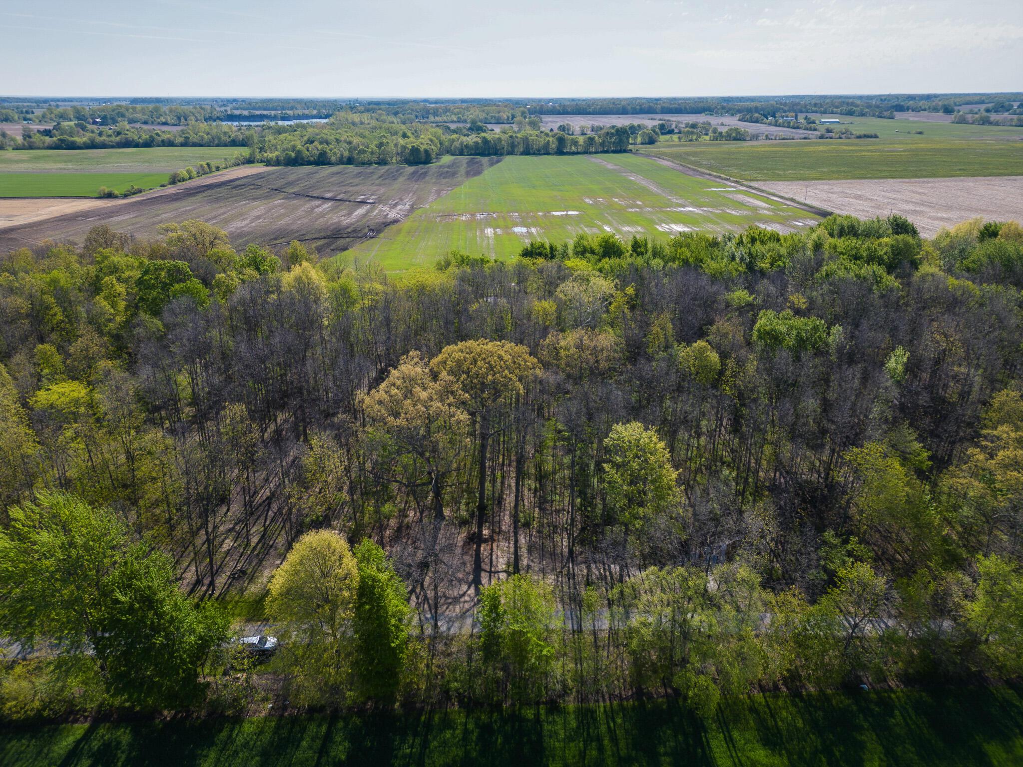 5387 Dildine Road Delaware, OH 43015 - Photo 19 of 37 18