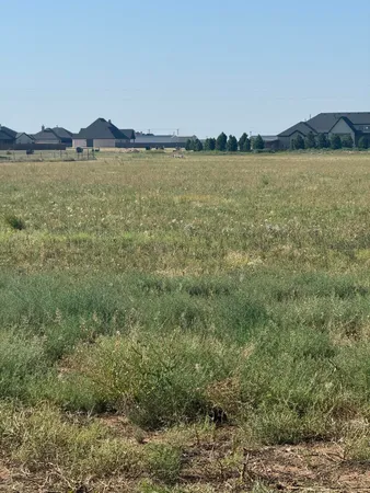 $93,500 | Lot 6 County Road L, Wilson, TX 79381