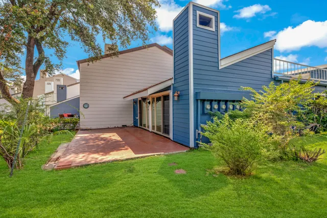 a view of a backyard with plants and large tree