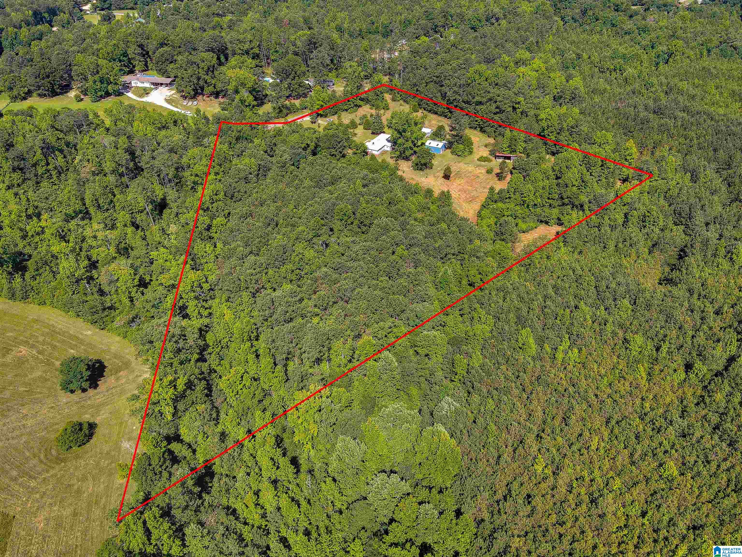 310 County Road 249 Clanton, AL 35046 - Photo 53 of 85