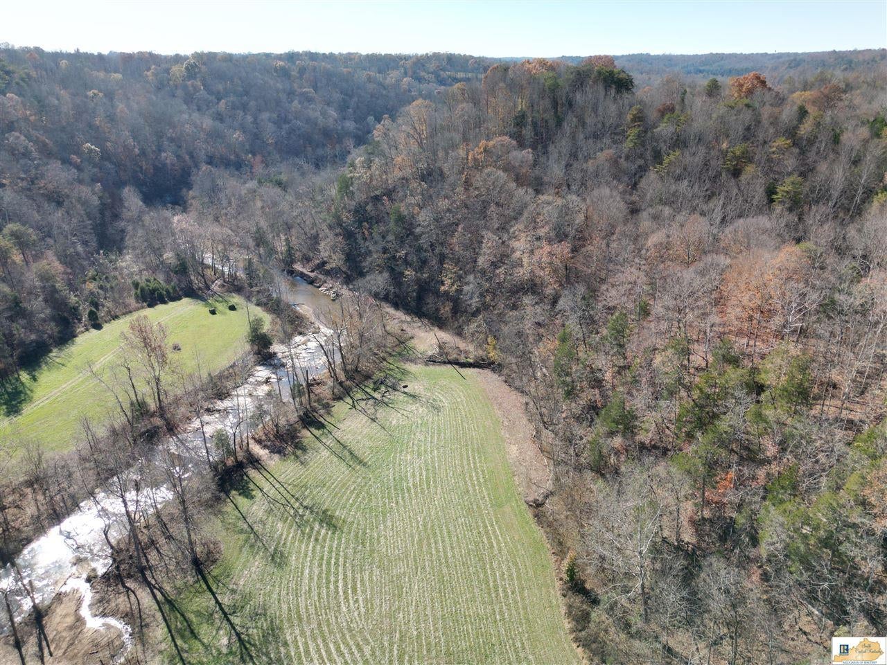 251 Crocus View Road Glens Fork, KY 42741 - Photo 7 of 54 Gallery Image 7
