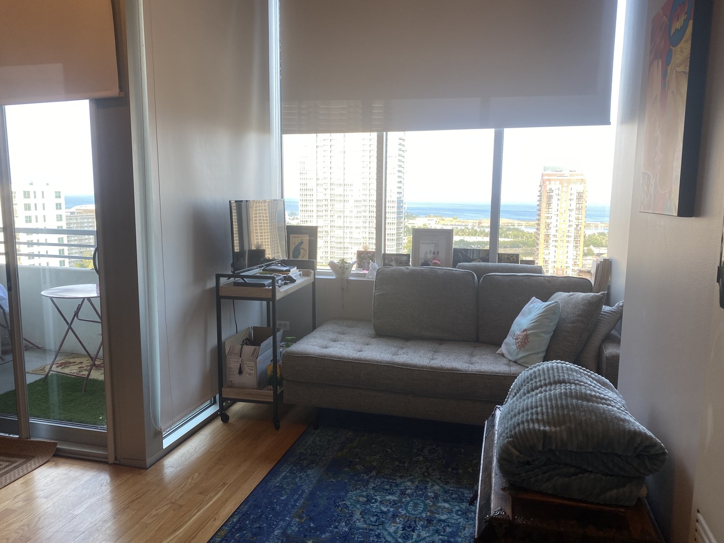 1720 South Michigan Avenue, Unit 2004 Chicago, IL 60616 - Photo 10 of 29