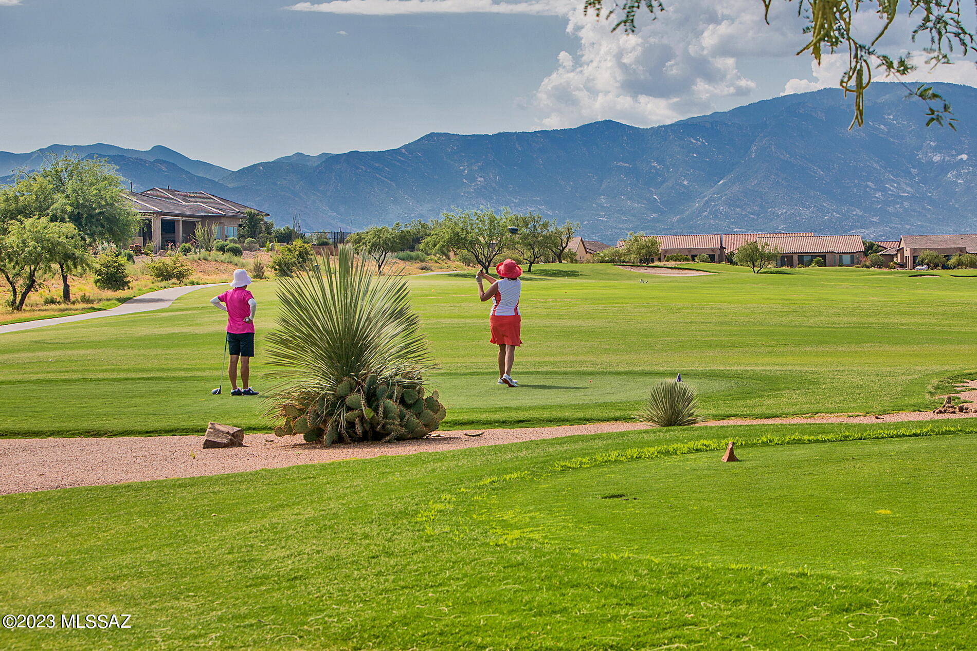 61236 East Arbor Basin Road Oracle, AZ 85623 - Photo 36 of 50