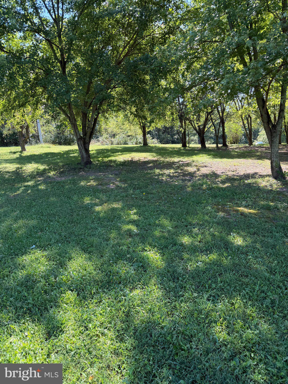 664 Mid Haines Road Augusta, WV 26704 - Photo 4 of 11 Gallery Image 4