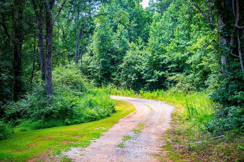 200 Duck Pond Road Roopville, GA 30170 - Photo 79 of 89 a view of a yard with plants and large trees