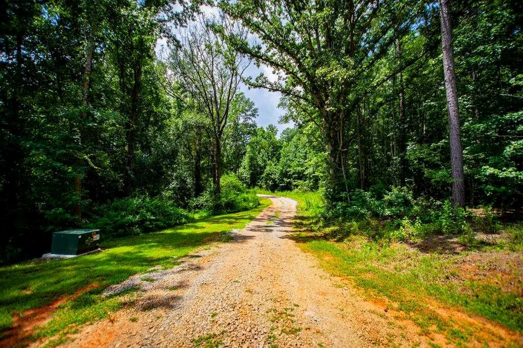 200 Duck Pond Road Roopville, GA 30170 - Photo 80 of 89 a view of backyard with swimming pool and green space