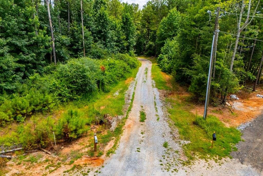 200 Duck Pond Road Roopville, GA 30170 - Photo 87 of 89 a view of a yard with plants and large trees