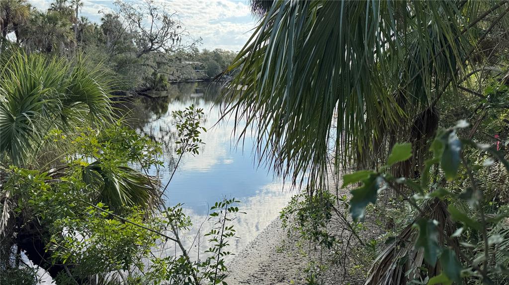 12807 Upper Manatee River Road Bradenton, FL 34212 - Photo 15 of 18 a close up of a plant in a garden