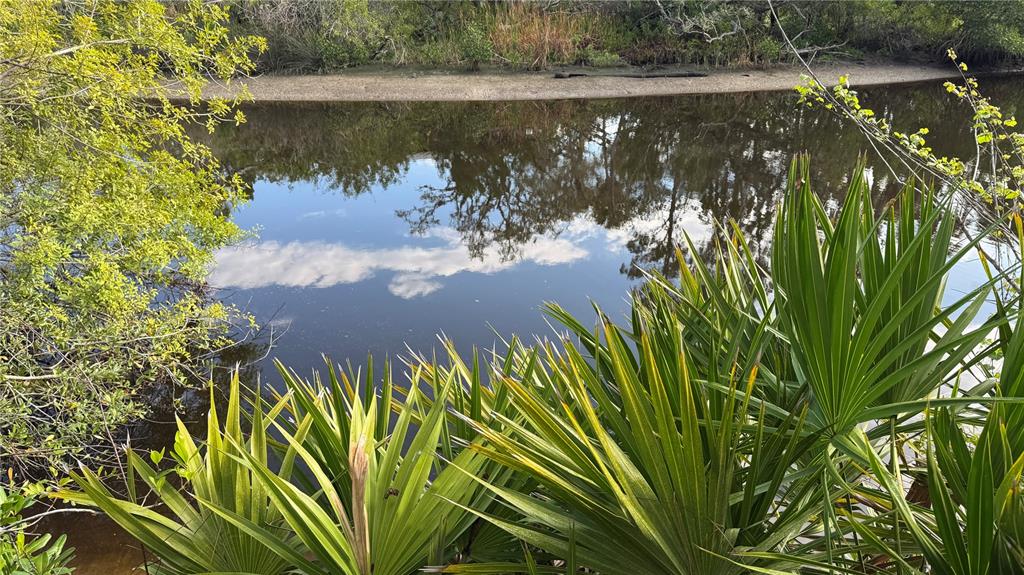 12807 Upper Manatee River Road Bradenton, FL 34212 - Photo 17 of 18 a view of a lake with a yard