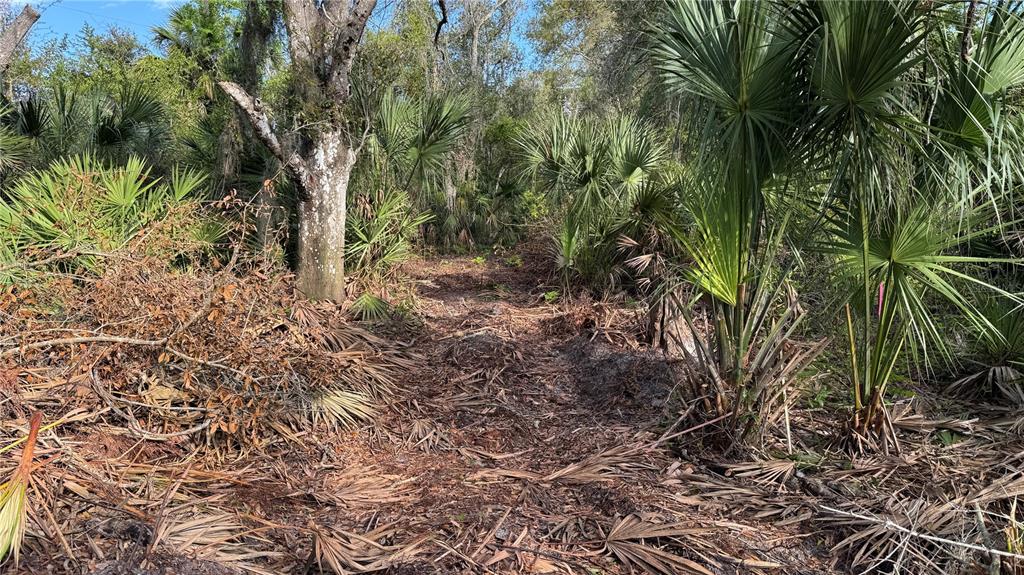 12807 Upper Manatee River Road Bradenton, FL 34212 - Photo 3 of 18 a view of a yard