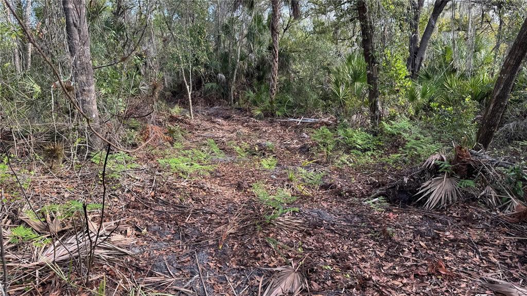 12807 Upper Manatee River Road Bradenton, FL 34212 - Photo 5 of 18 a view of a yard