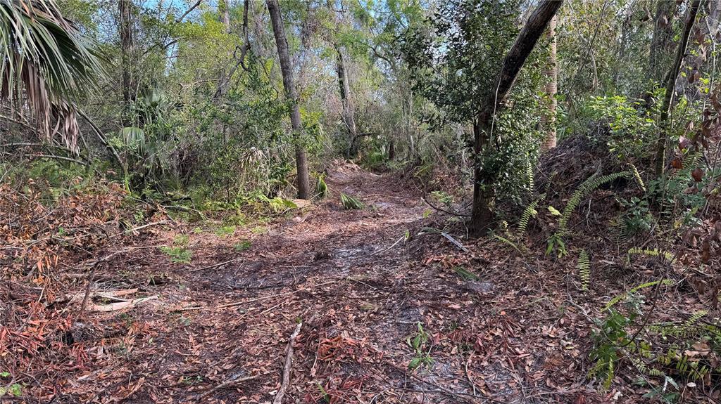 12807 Upper Manatee River Road Bradenton, FL 34212 - Photo 8 of 18 a view of a yard