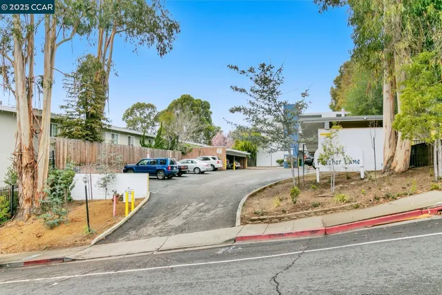 a view of a park with plants and a fountain