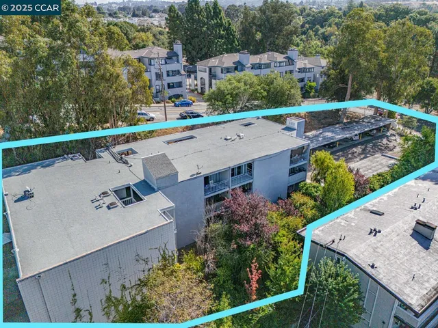 a view of a park with a tree