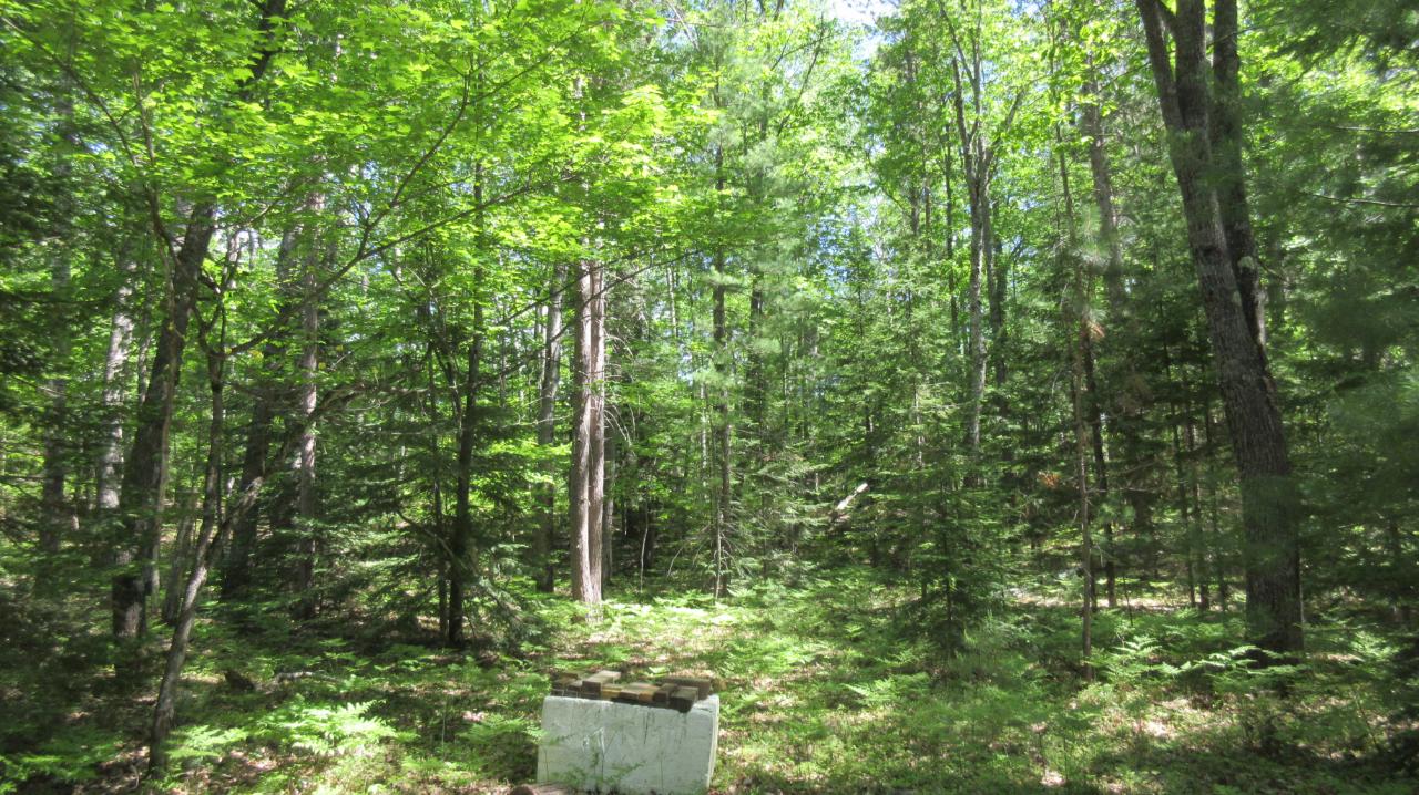 4971 Birch Road Land O'Lakes, WI 54540 - Photo 30 of 38 Gallery Image 30