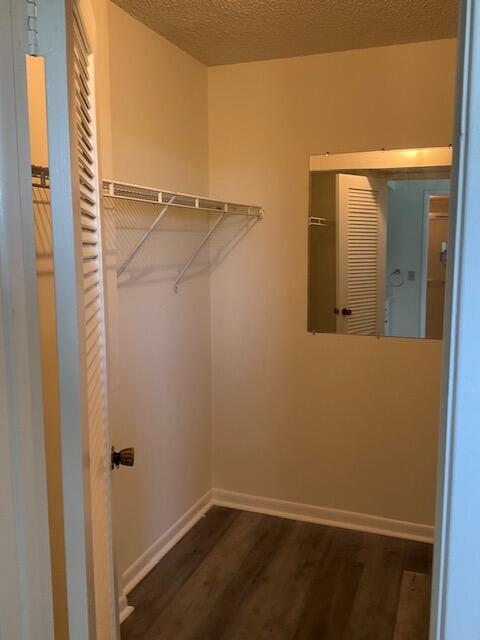 955 Dotterel Road, Unit 2509 Delray Beach, FL 33444 - Photo 40 of 53 Master Walk In Closet
