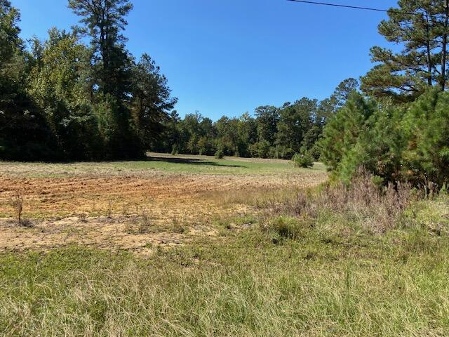0 Todd Creek Road Neeses, SC 29107 - Photo 9 of 13 IMG_9503