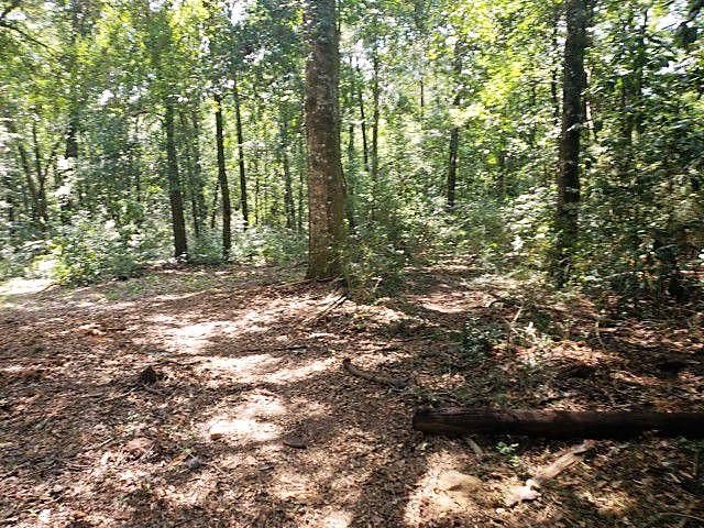 559 Mc Kee Road DeFuniak Springs, FL 32433 - Photo 3 of 10 Acreage