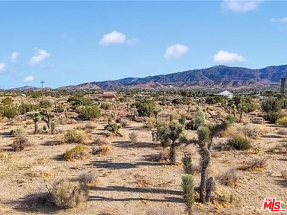 875 Locust Road Pinon Hills, CA 92372 - Photo 3 of 10 a view of a city