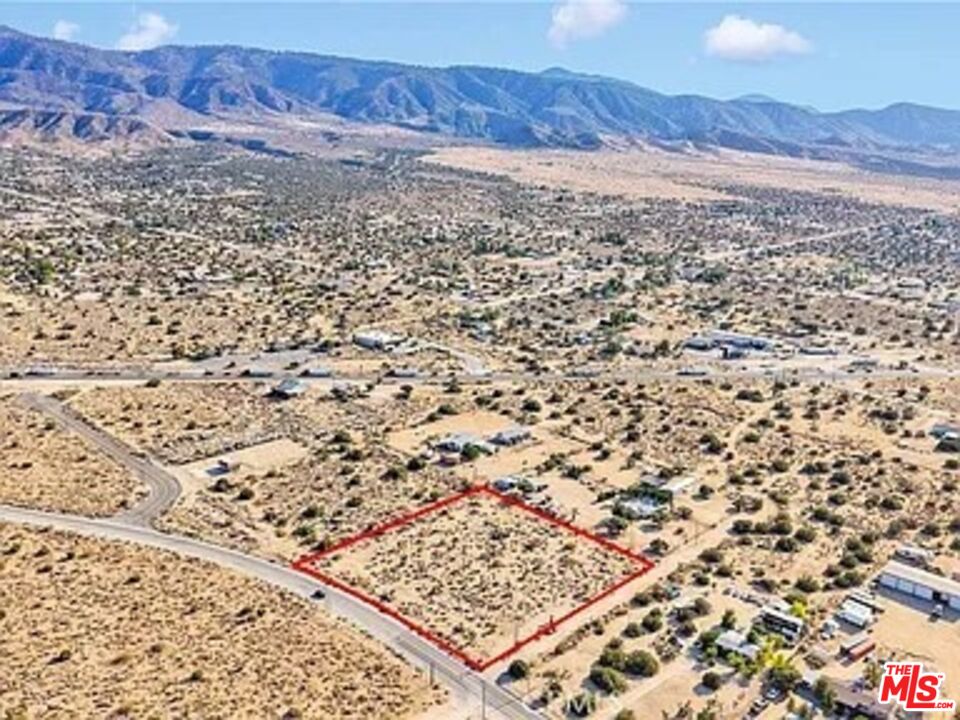 875 Locust Road Pinon Hills, CA 92372 - Photo 5 of 10 a view of a yard with a mountain