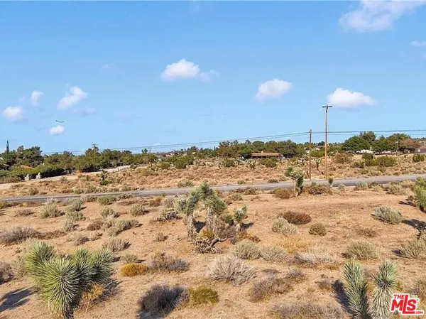 view of an outdoor space