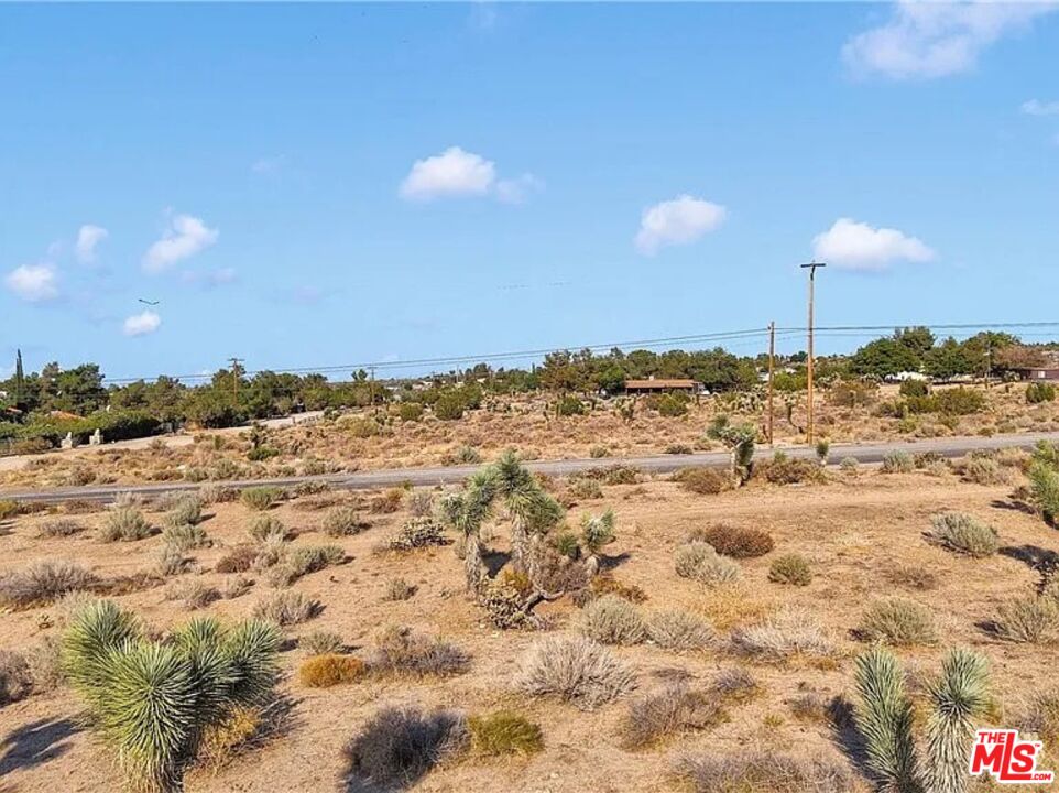 875 Locust Road Pinon Hills, CA 92372 - Photo 8 of 10 a view of a backyard of a house