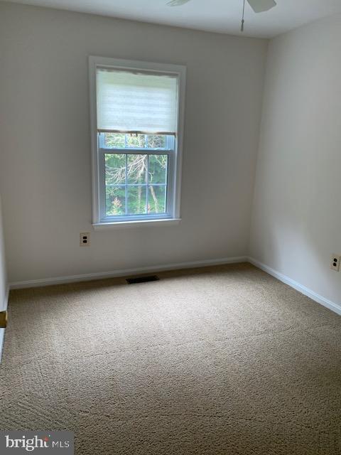 7416 Spring Tree Drive Springfield, VA 22153 - Photo 21 of 40