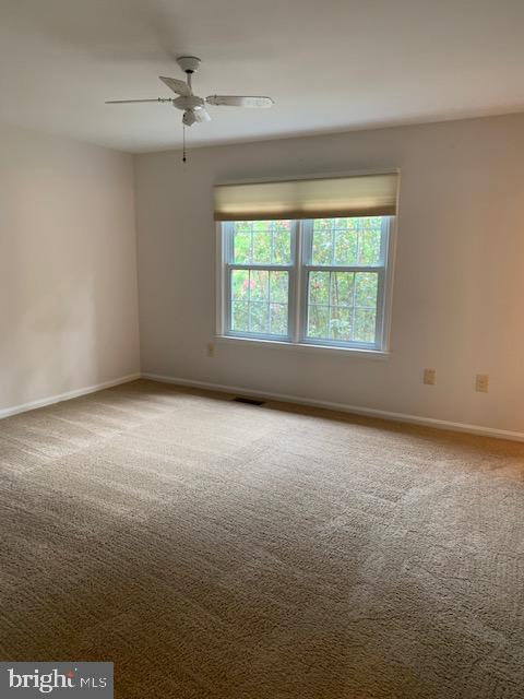 7416 Spring Tree Drive Springfield, VA 22153 - Photo 31 of 40