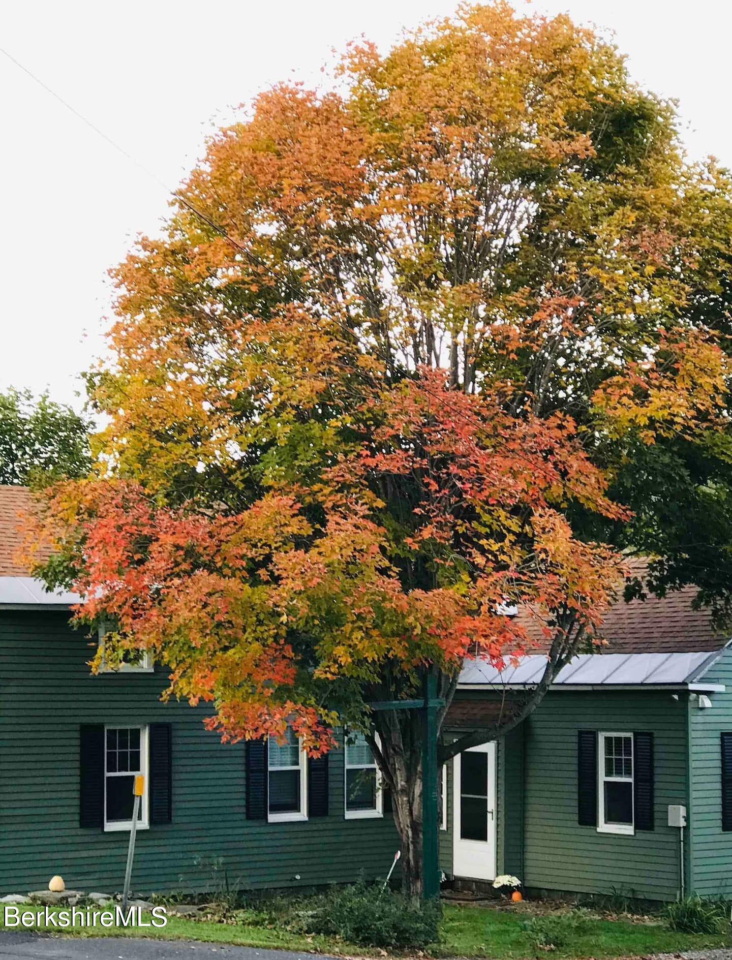 33 South Main Road Otis, MA 01253 - Photo 2 of 15 front view of house with a tree