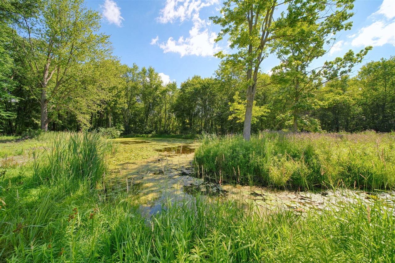 5995 North Sandstone Road Jackson, MI 49201 - Photo 54 of 70 Gallery Image 54