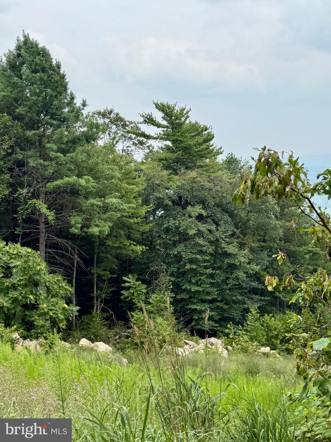 Mountain Road James Creek, PA 16657 - Photo 24 of 28