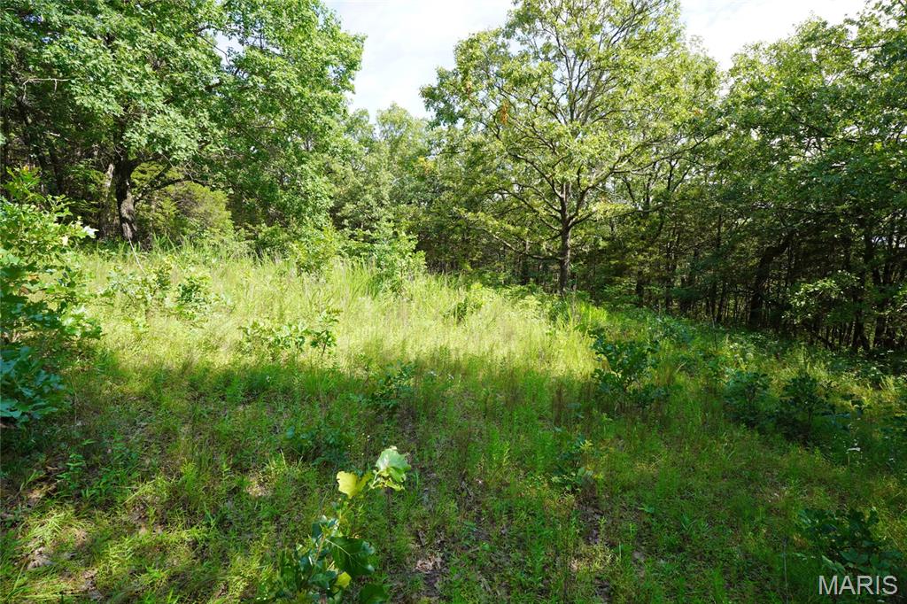 1971 Epple Road Hermann, MO 65041 - Photo 73 of 98