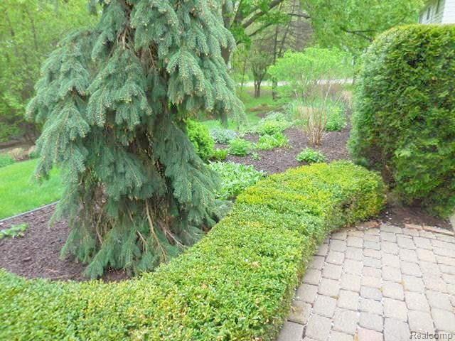 25551 Wykeshire Road Farmington Hills, MI 48336 - Photo 43 of 46