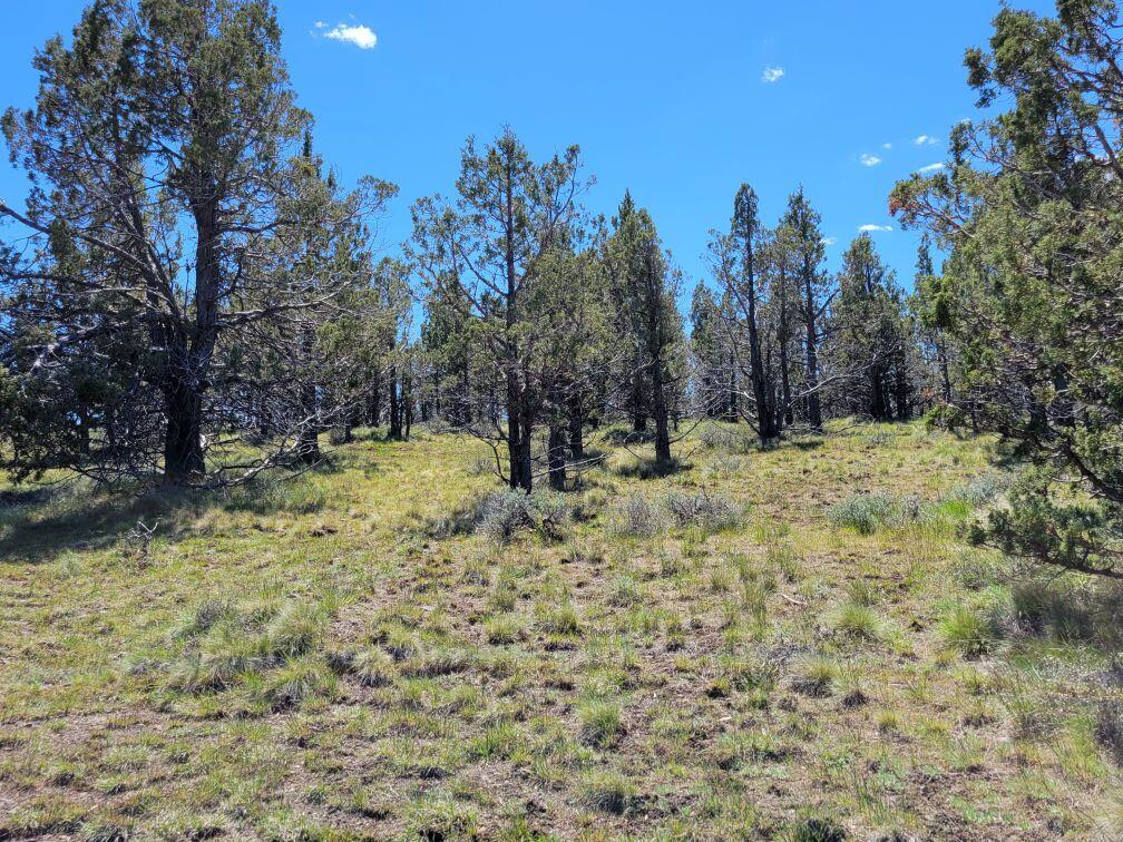 103 Southeast Tbd Road Prineville, OR 97754 - Photo 21 of 35 Resized_20240511_125241_1715616564714