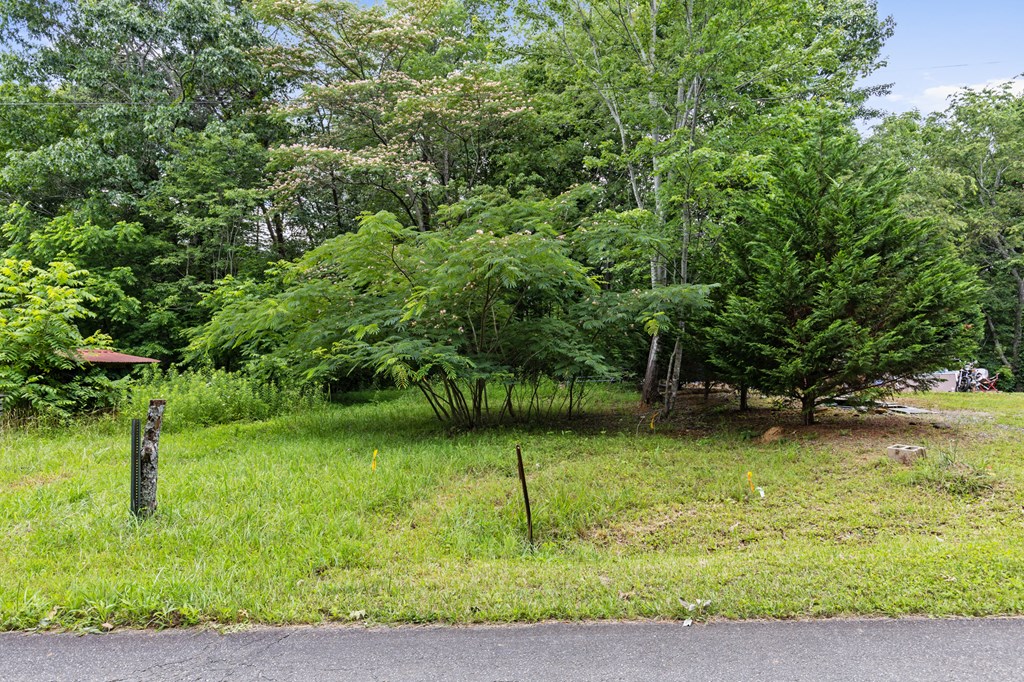 0 Crawford Road McCaysville, GA 30555 - Photo 19 of 21