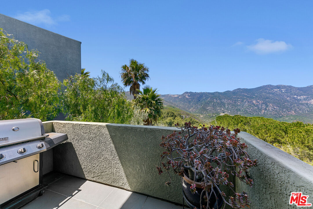 2044 Corral Canyon Road Malibu, CA 90265 - Photo 17 of 44