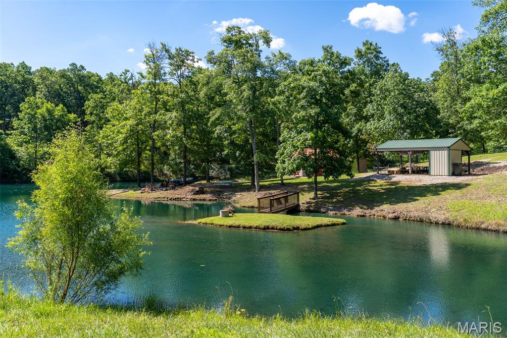 10450 Ok Road Bonne Terre, MO 63628 - Photo 10 of 93