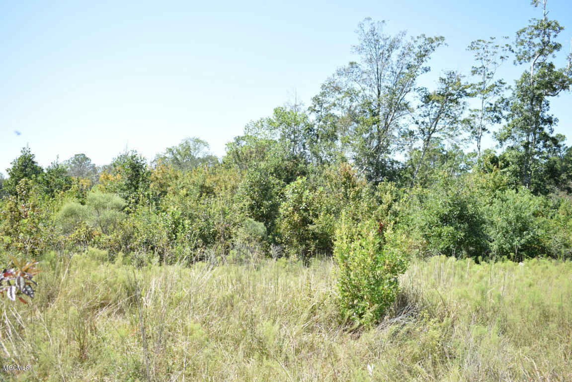 200-ac Buddy Finch Road Lucedale, MS 39452 - Photo 14 of 25 20170914201339939411000000-o
