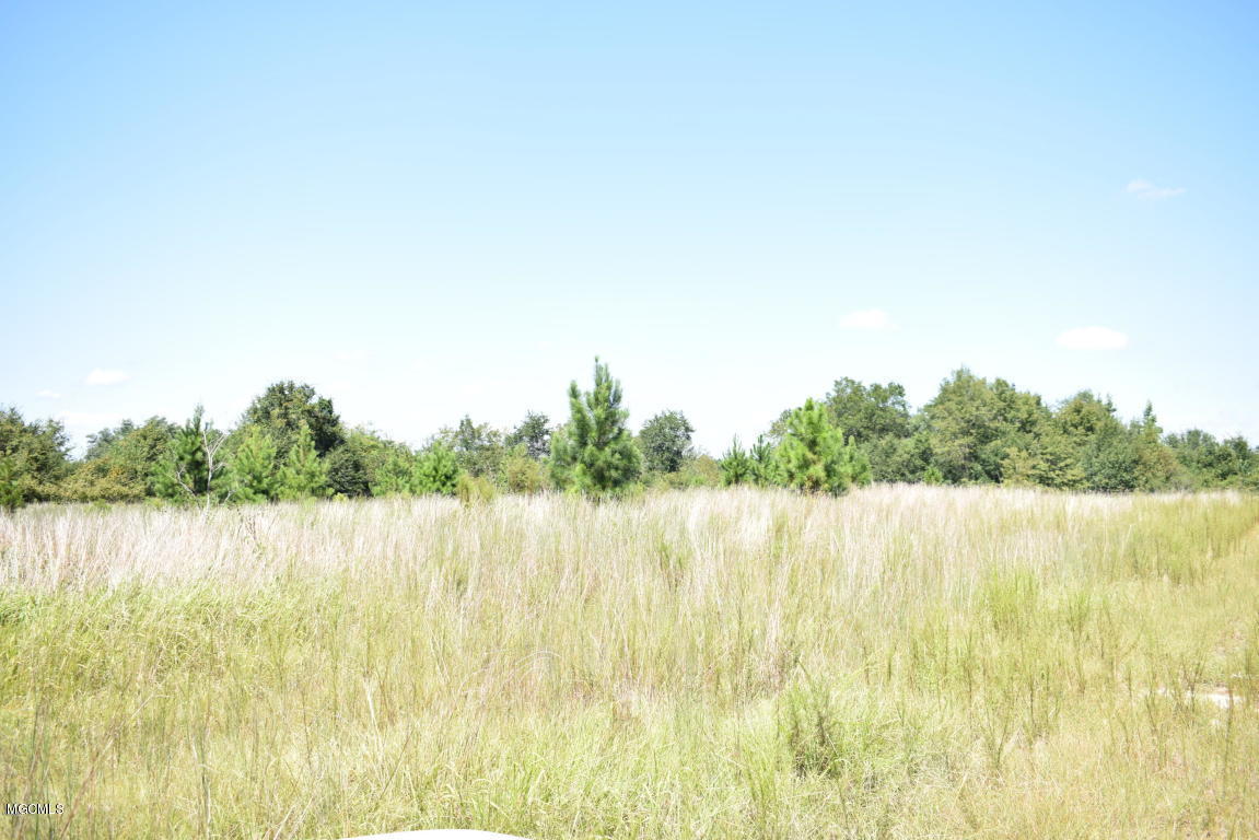 200-ac Buddy Finch Road Lucedale, MS 39452 - Photo 15 of 25 20170914201416999243000000-o