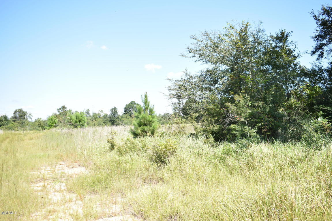 200-ac Buddy Finch Road Lucedale, MS 39452 - Photo 16 of 25 20170914201451509588000000-o