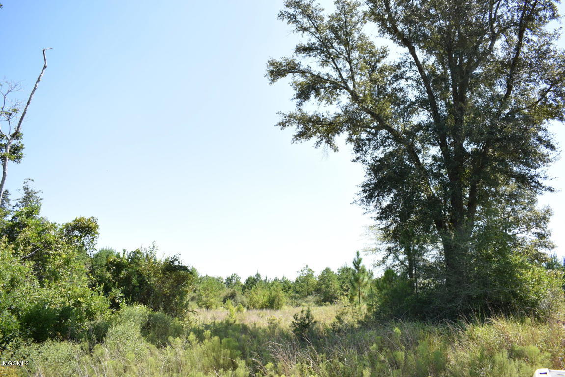 200-ac Buddy Finch Road Lucedale, MS 39452 - Photo 3 of 25 20170914200756817993000000-o