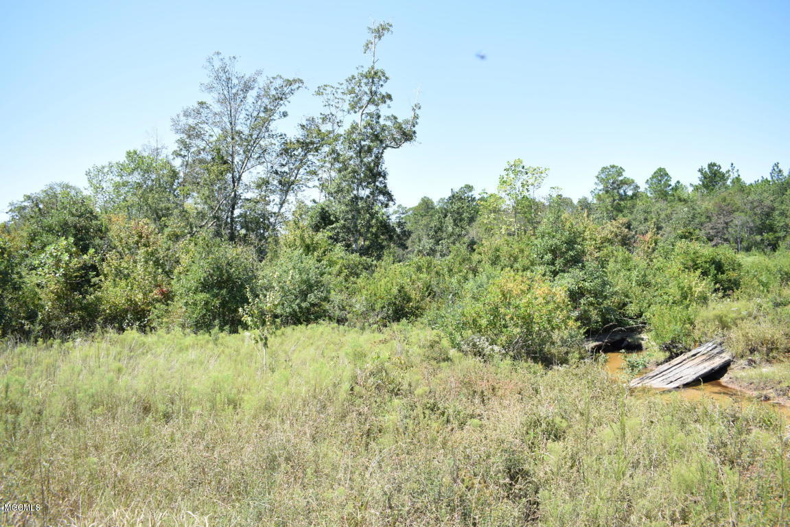 200-ac Buddy Finch Road Lucedale, MS 39452 - Photo 8 of 25 20170914200714818940000000-o