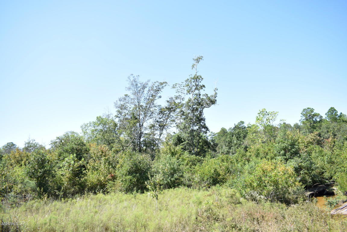 200-ac Buddy Finch Road Lucedale, MS 39452 - Photo 9 of 25 20170914200831743146000000-o
