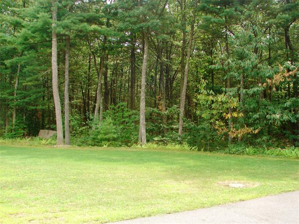 95 Fox Run Road Bolton, MA 01740 - Photo 24 of 25 a view of a yard with a trees