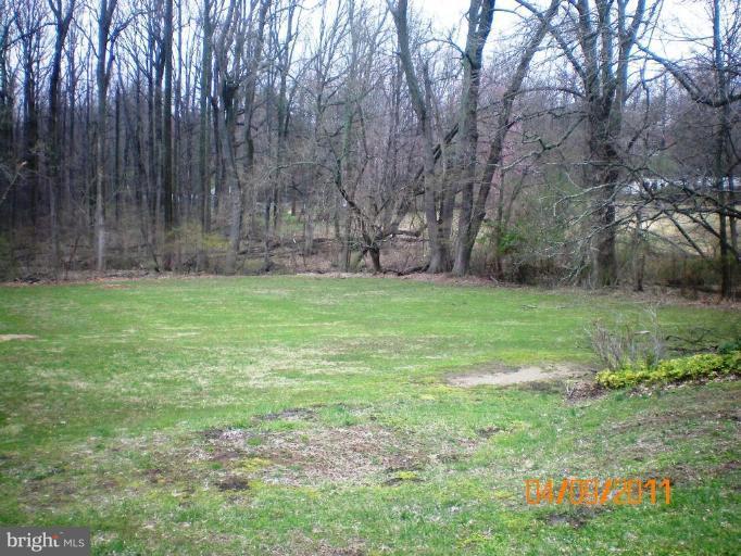 4804 Butler Road Glyndon, MD 21136 - Photo 4 of 30 Back yard
