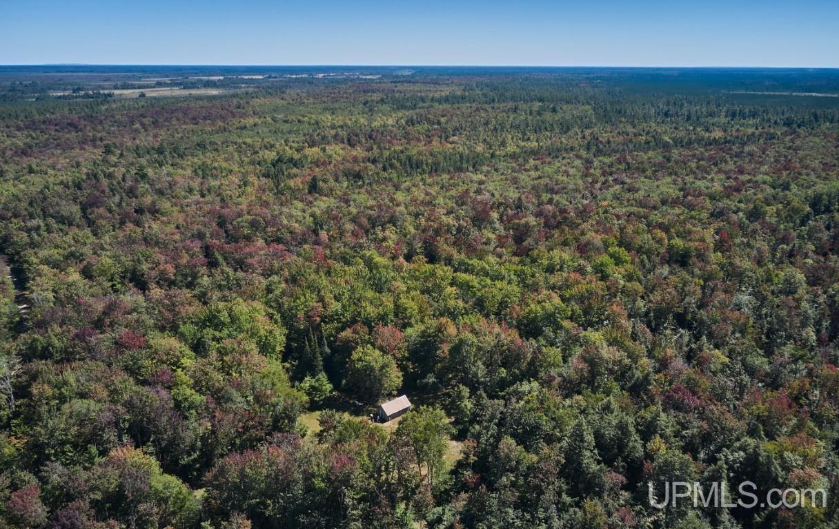454 Creighton Trail Road Shingleton, MI 49884 - Photo 17 of 26