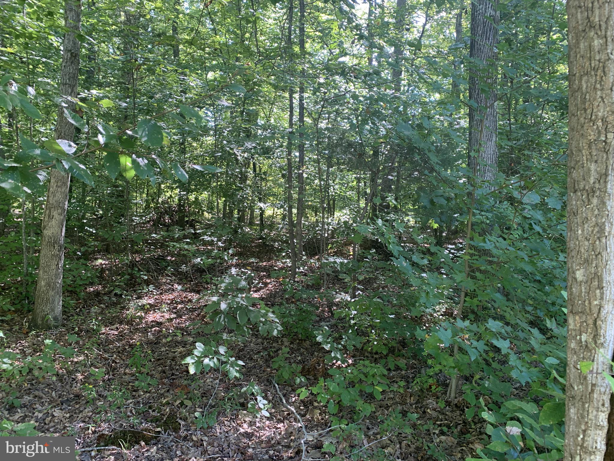Lot 122 Raven Road Bumpass, VA 23024 - Photo 3 of 5