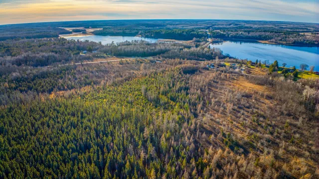 $68,000 | Xxxx Dora Lake Road, Northome, MN 56661