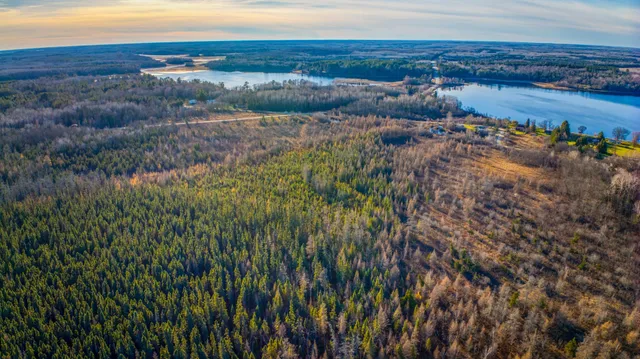 $68,000 | Xxxx Dora Lake Road, Northome, MN 56661