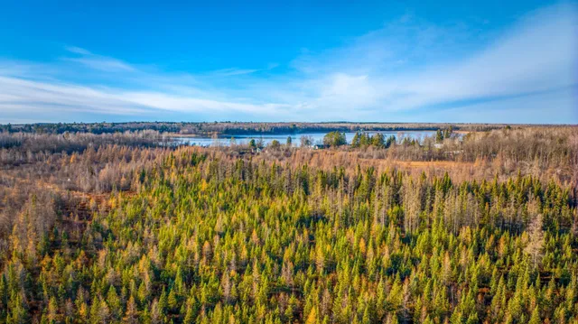 $68,000 | Xxxx Dora Lake Road, Northome, MN 56661